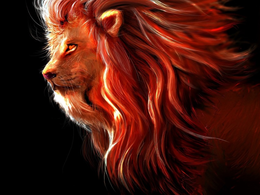 Lion Big Cat Art Predator King Of Beasts Background