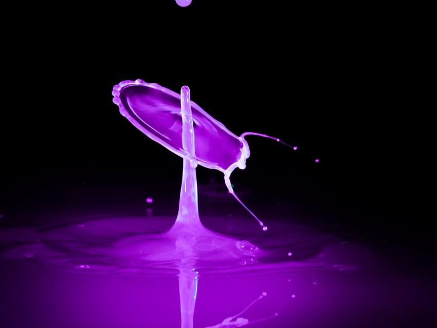 liquid, drops, spray, purple, splash, macro