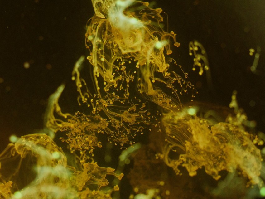 liquid, yellow, spray, macro