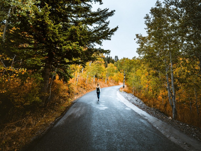 Loneliness Walk Road Autumn Solitude Forest Background