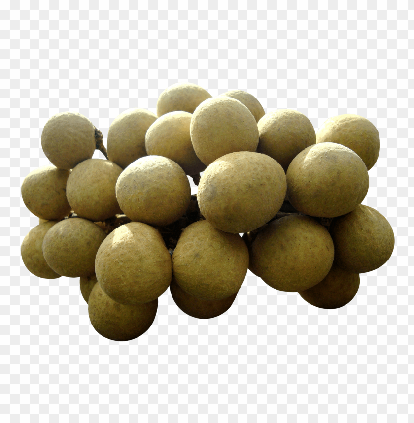 fruits, longan