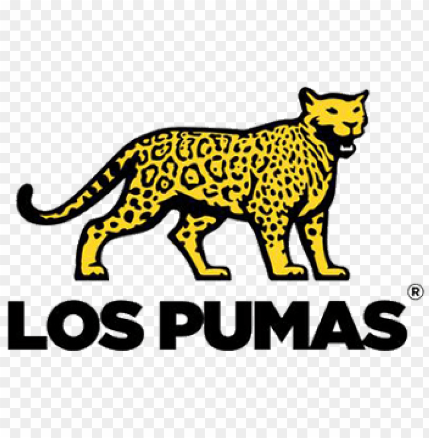 sports, rugby teams argentina, los pumas rugby logo, 