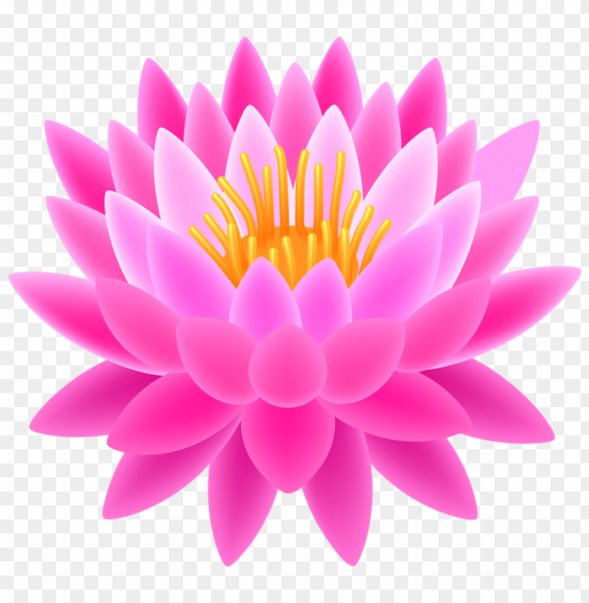 lotus, cars, lotus cars, lotus cars png file, lotus cars png hd, lotus cars png, lotus cars transparent png