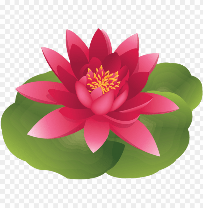 lotus flower, painting, sun clip art, paint, food, drawing, lion clip art