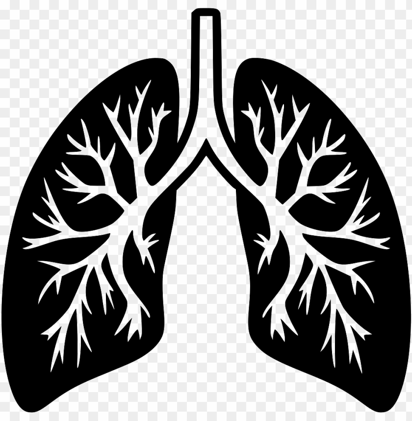 Lungs Icon PNG Transparent Background