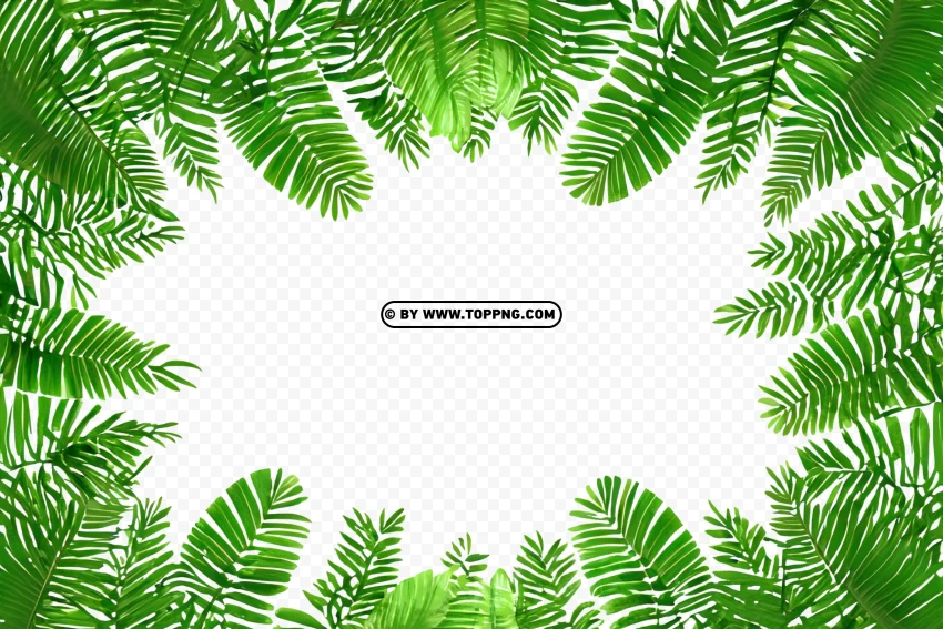 Leaves Frame, Leaves Frame Transparent PNG, Leaves Frame PNG, Nature Frame PNG, Nature Frame Transparent PNG, Nature Frame, Forest Frame PNG