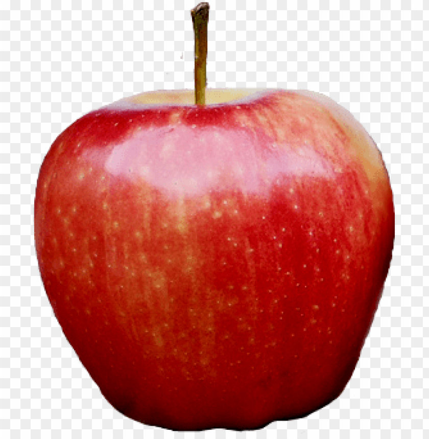 apple, red apple, fresh fruit, healthy snacks, garden produce, sweet fruit, organic apple