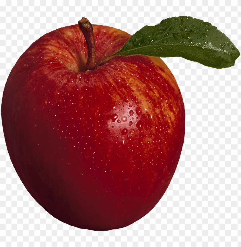 red apple, fresh fruit, juicy apple, healthy snack, organic apple, nature's snack, ripe apple