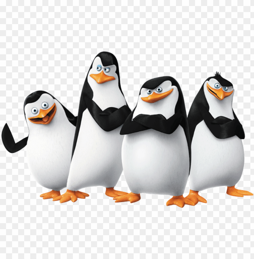 nature, jpg, symbol, pdf, penguin, writer, set