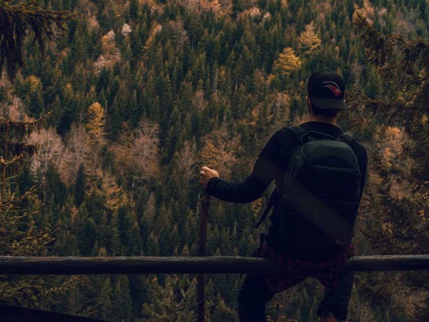 man, forest, nature, backpack, hiking