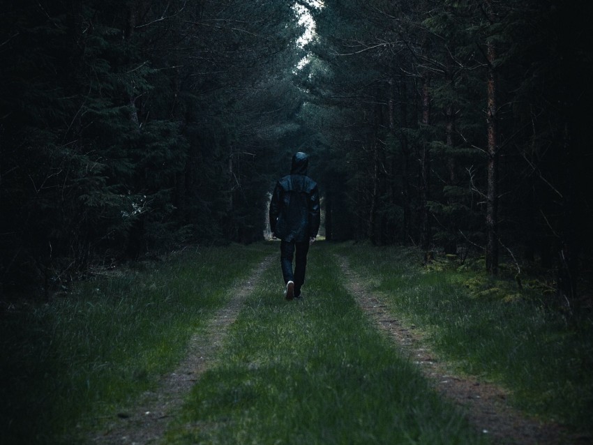 man, forest, road, glade, trees, loneliness