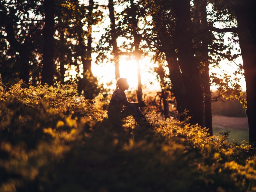 man, forest, sun, light, loneliness