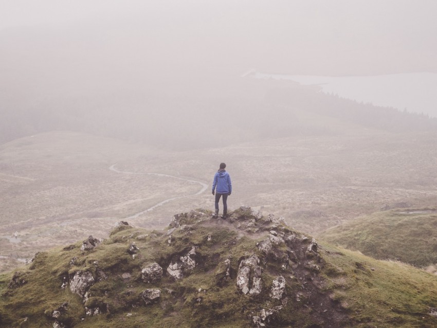 man, lonely, loneliness, fog, grass