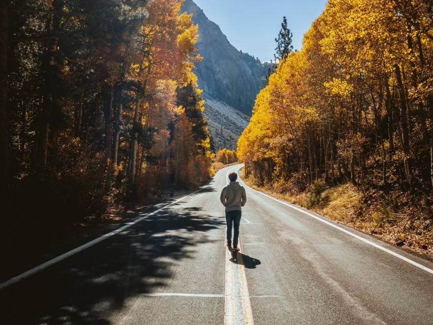 man, road, autumn, walk, loneliness, sunlight