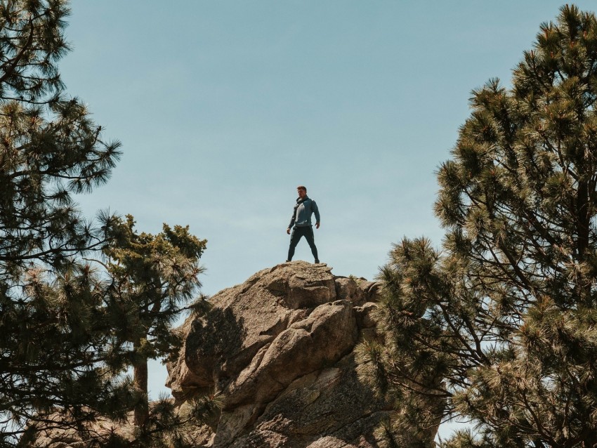 man, rock, trees, stones, height