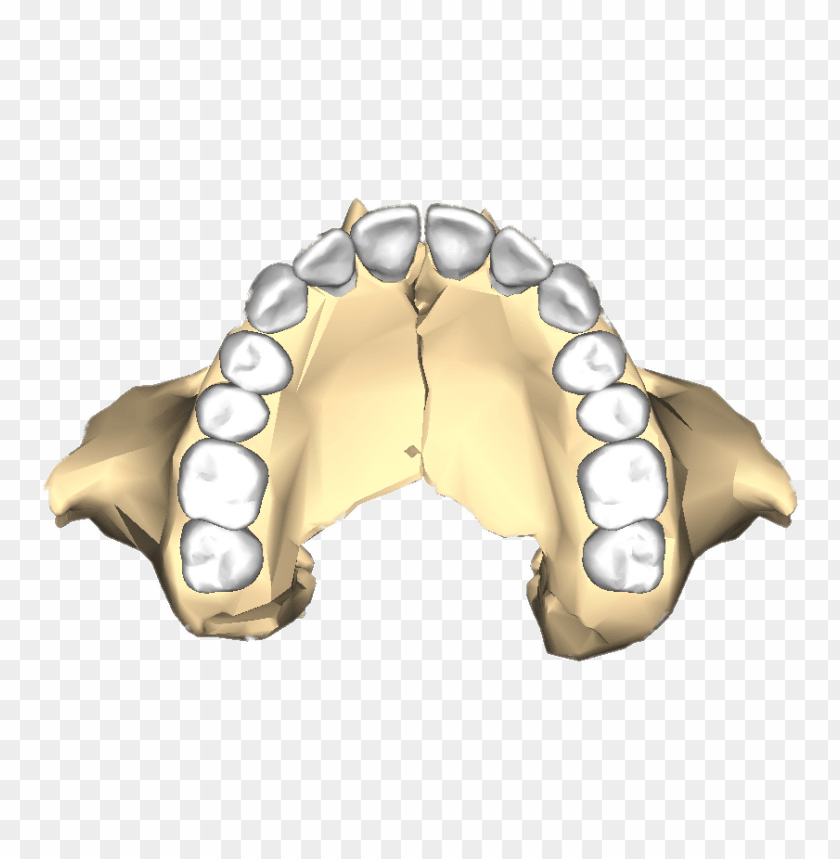 people, bones of the body, maxilla inferior, 