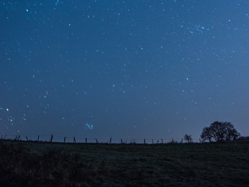 meadow, starry sky, night, stars, dark