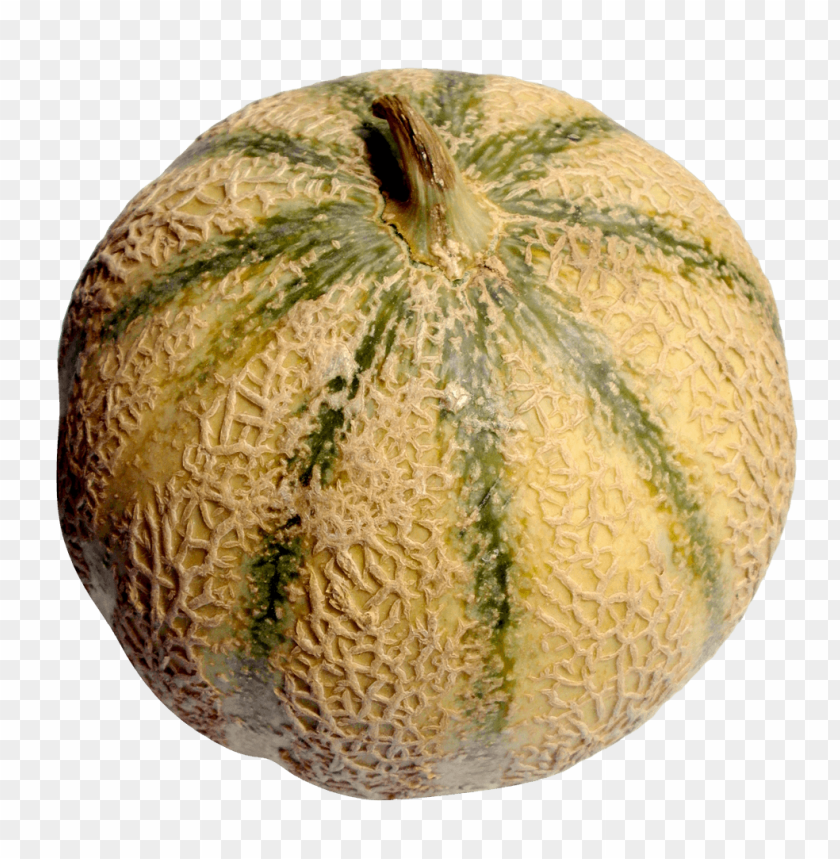 Whole Cantaloupe PNG, refreshing, fruit, orange