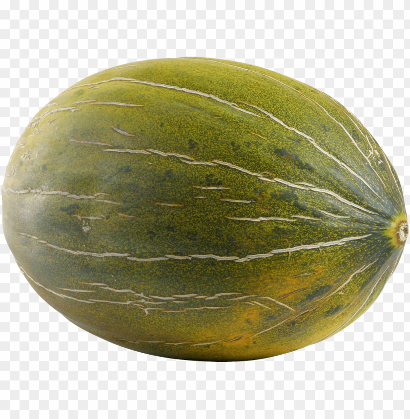 
melon
, 
fleshy fruit
, 
fruit
, 
kind of berry
, 
pepo
