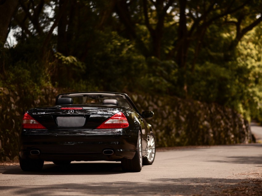 mercedes-benz sl350 amg, mercedes-benz, car, convertible, black, rear view