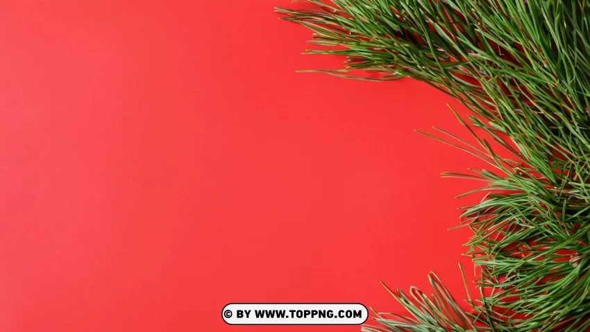 Merry Christmas Pine Branches Red Green PNG Transparent Background