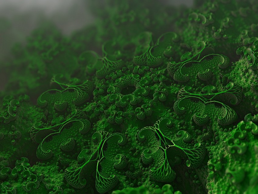 Microorganisms Cells Microscopic Microbiology Bacteria Background