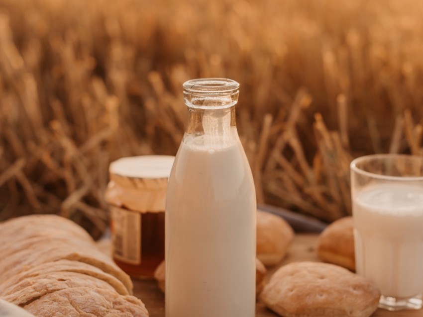 milk, bottle, field, picnic