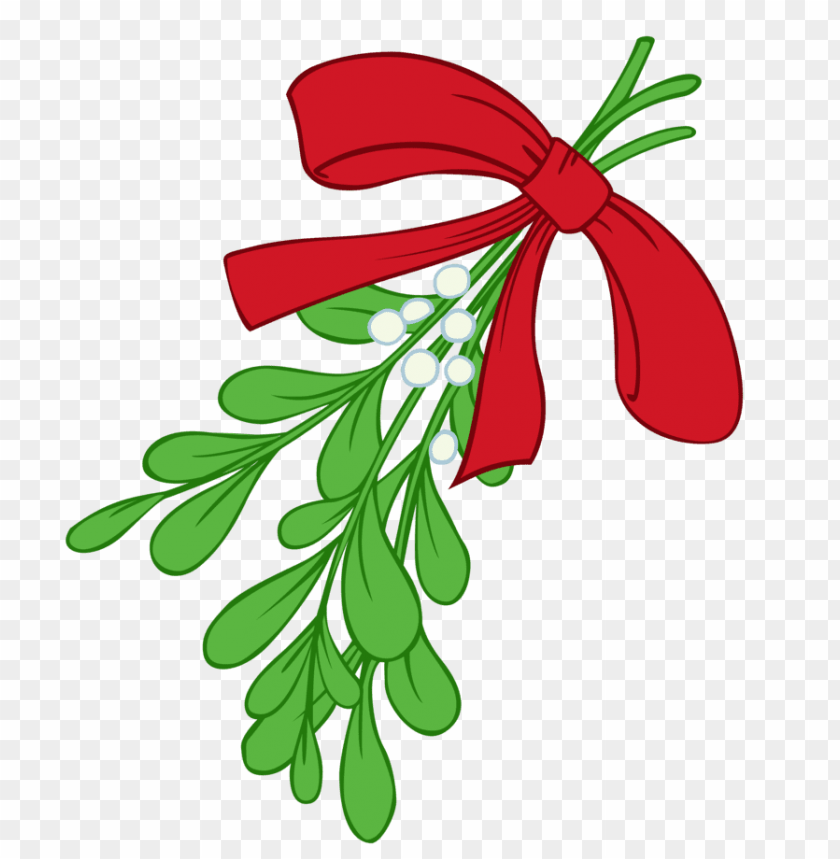 mistletoe png, png,mistletoe