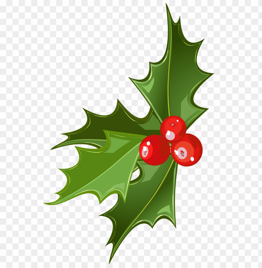 mistletoe png, png,mistletoe