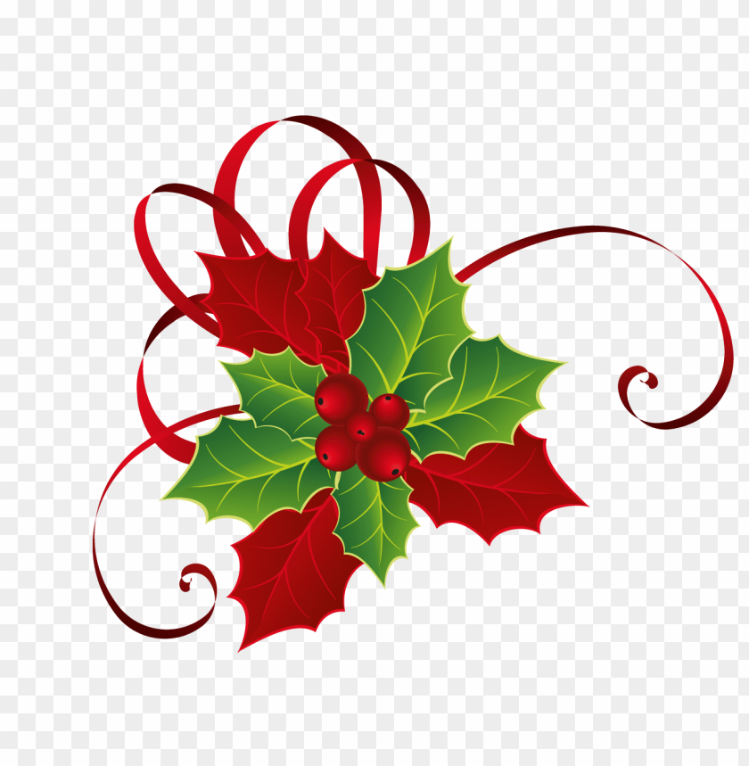 mistletoe png, png,mistletoe