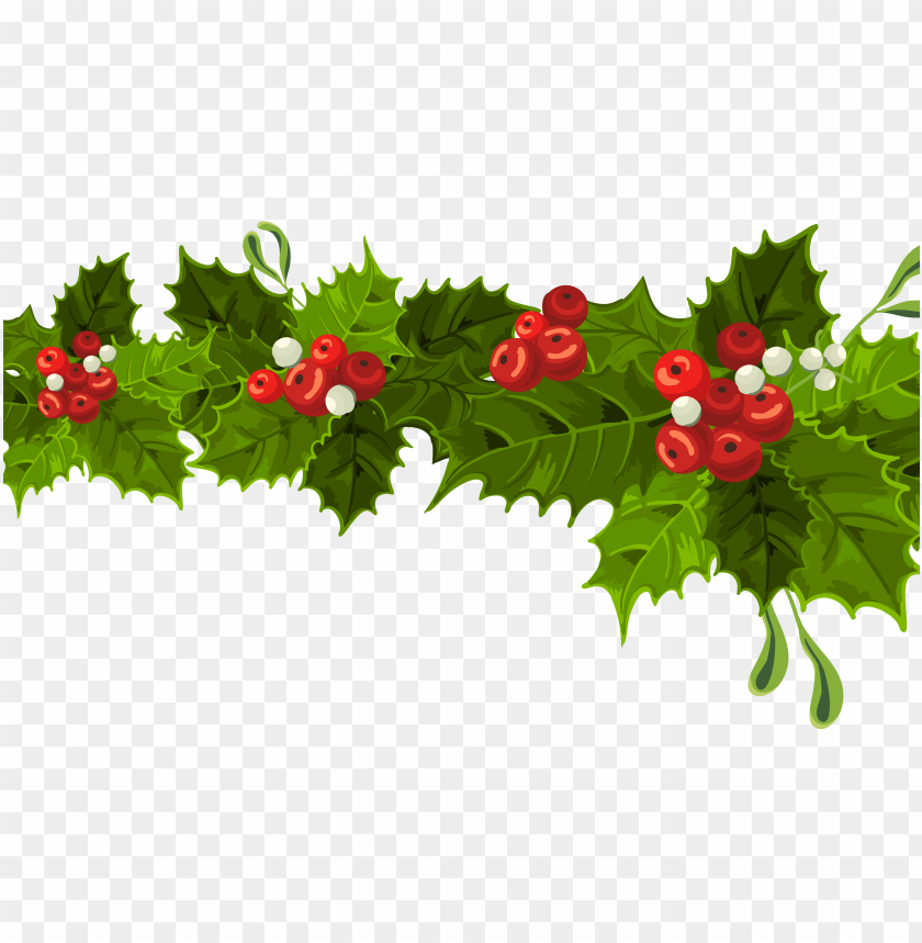 mistletoe png, png,mistletoe