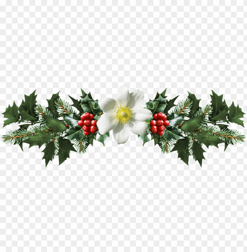 mistletoe png, png,mistletoe