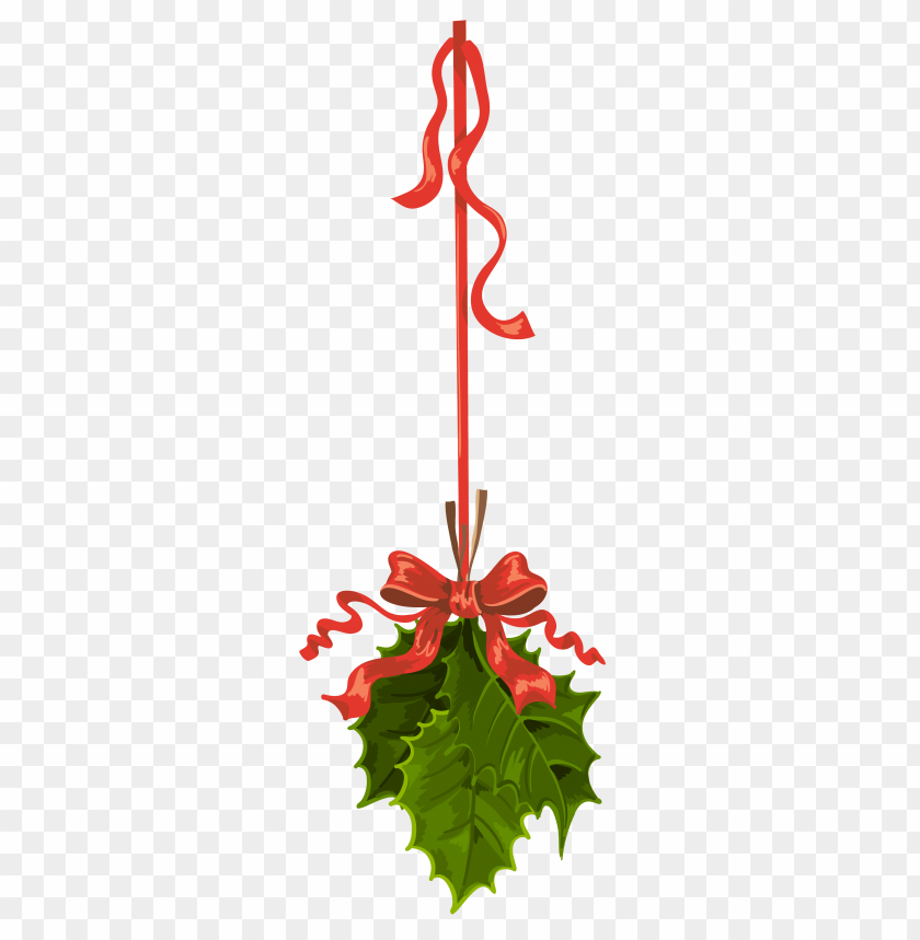 mistletoe png, png,mistletoe