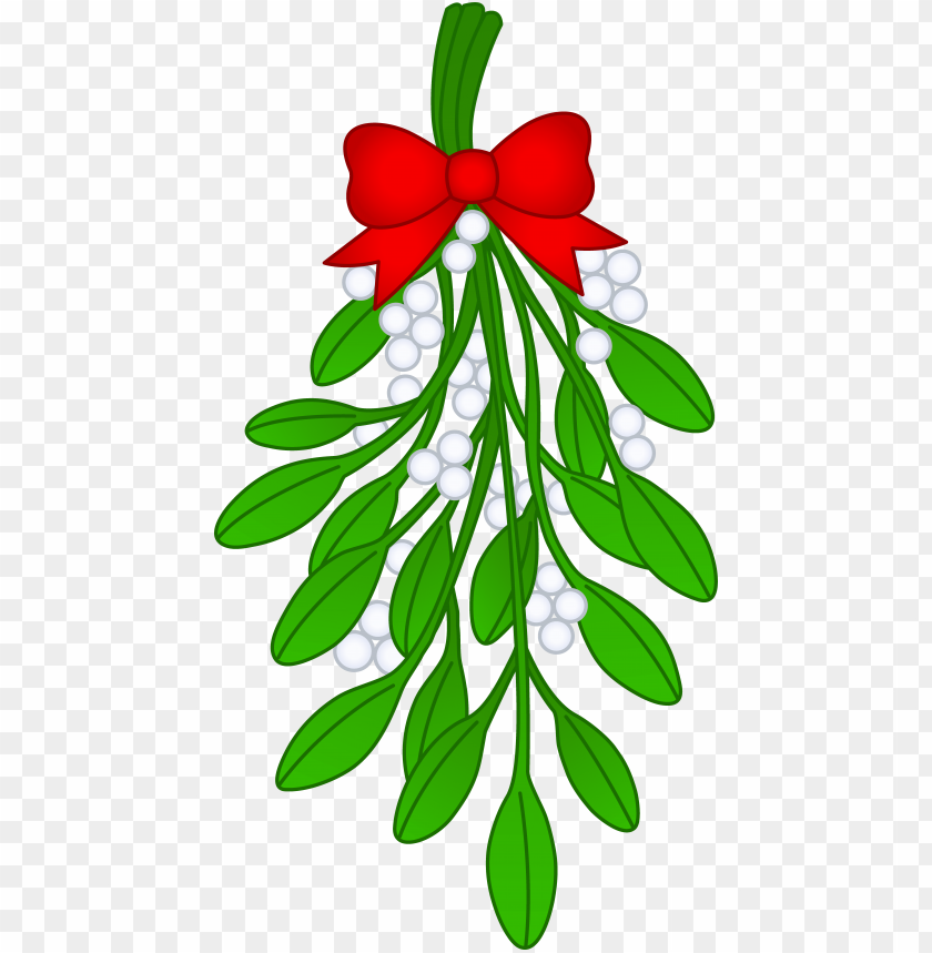 mistletoe png, png,mistletoe