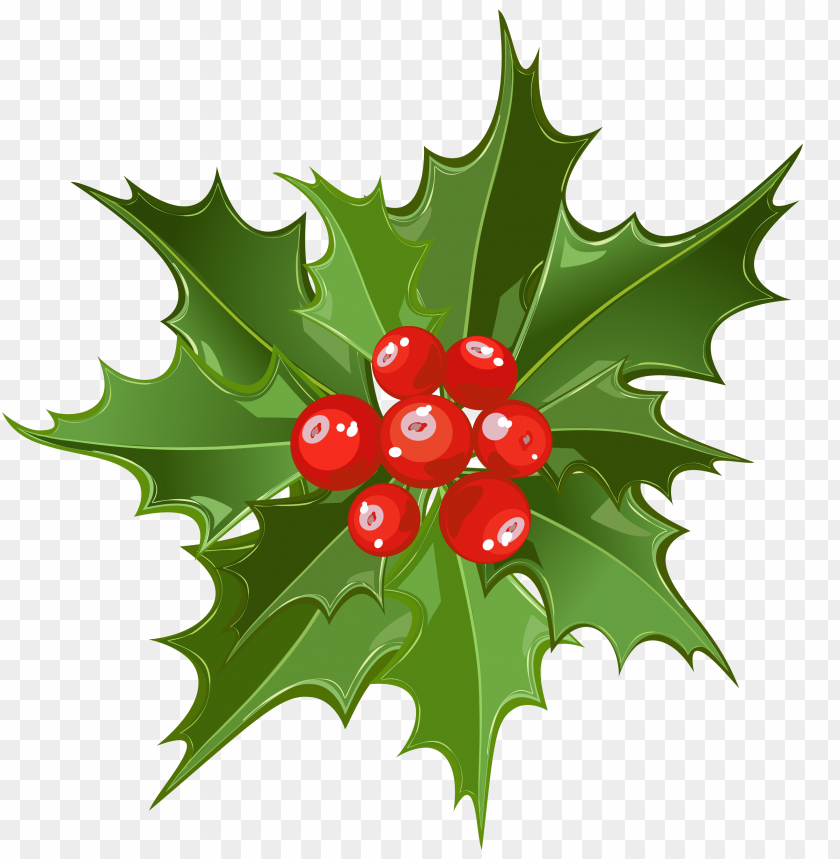 mistletoe png, png,mistletoe