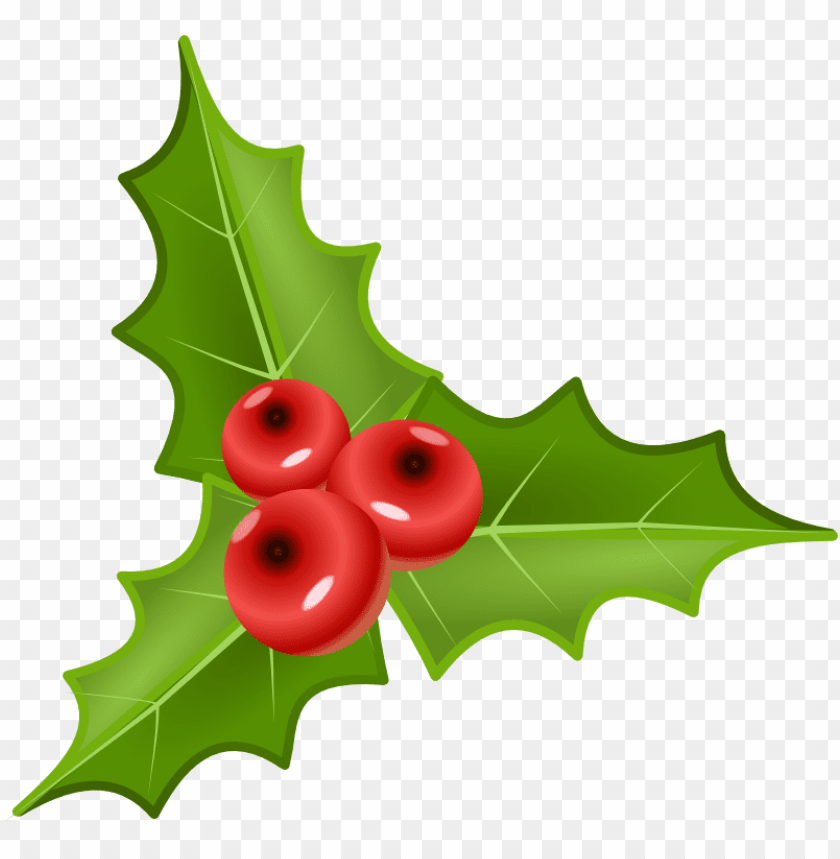 mistletoe png, png,mistletoe