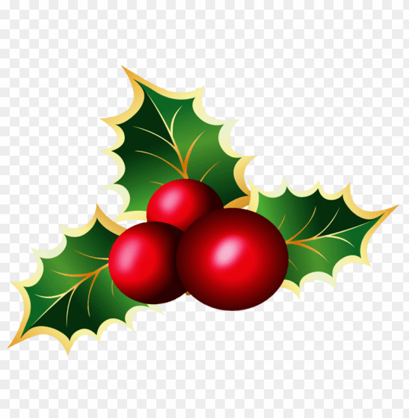 mistletoe png, png,mistletoe