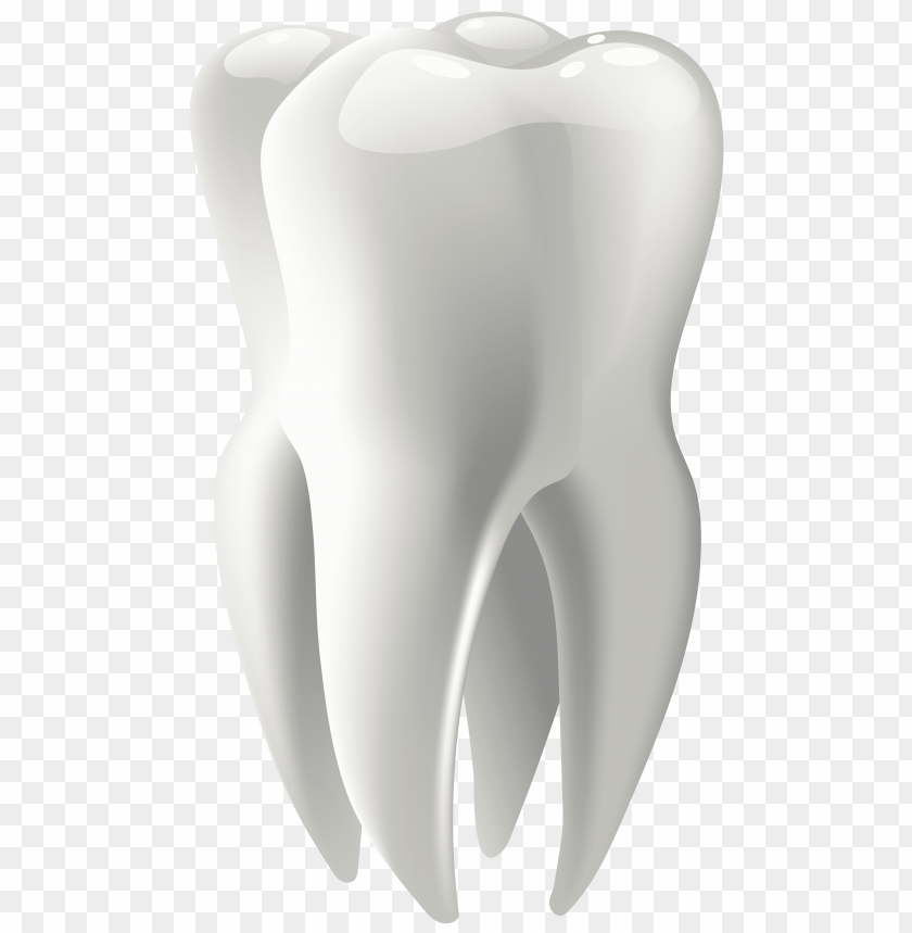 molar