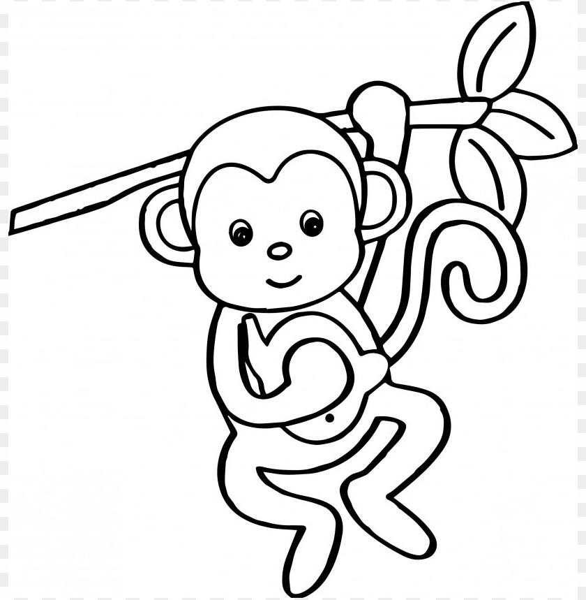 monkey coloring, coloring,monkey,color