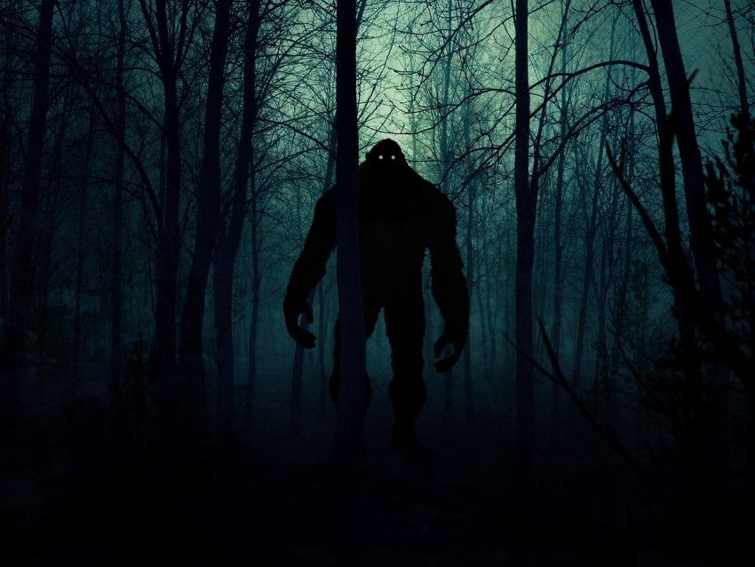 monster, silhouette, forest, night, art