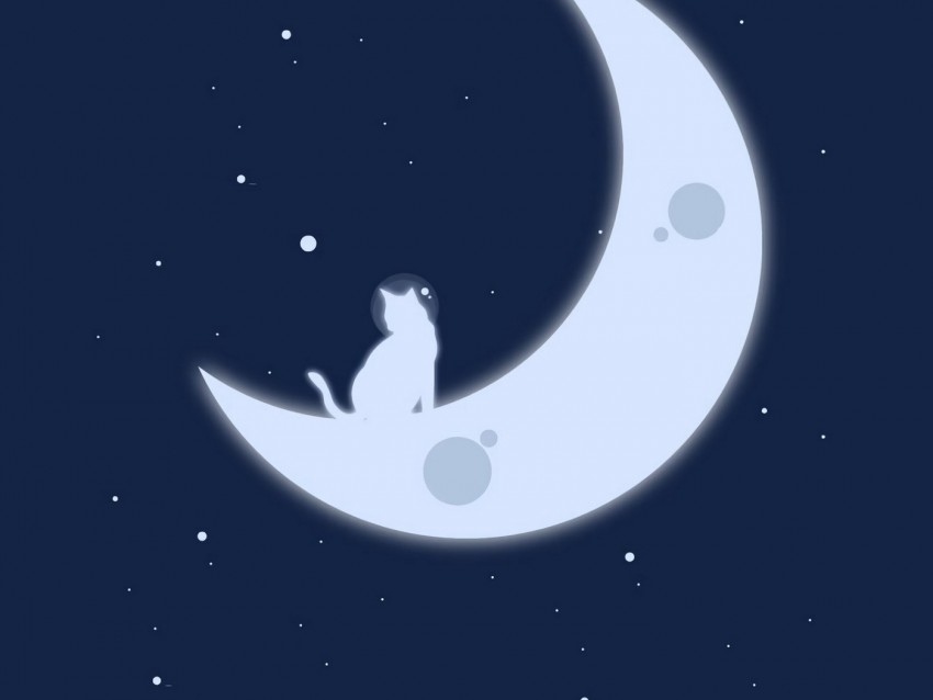 moon, cats, stars, art, minimalism