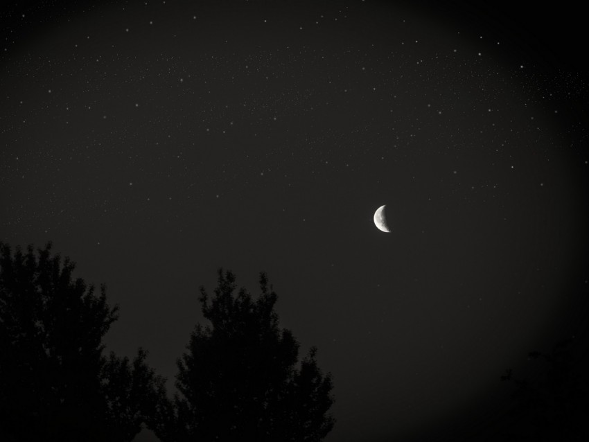 Moon Night Sky Tree Stars Dark Background