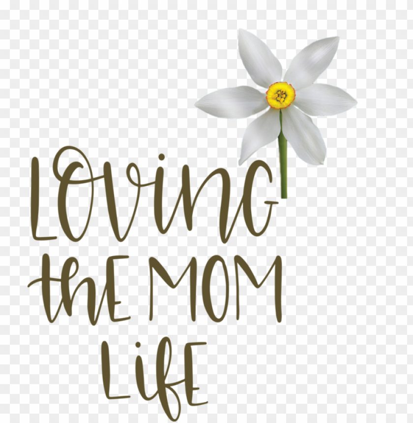 Mothers Day Cut Flowers Floral Design Logo For Love You Mom For Mothers Day PNG Transparent Background