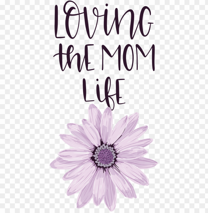 drawing daisy sticker design,mothers day,love you mom,transparent png