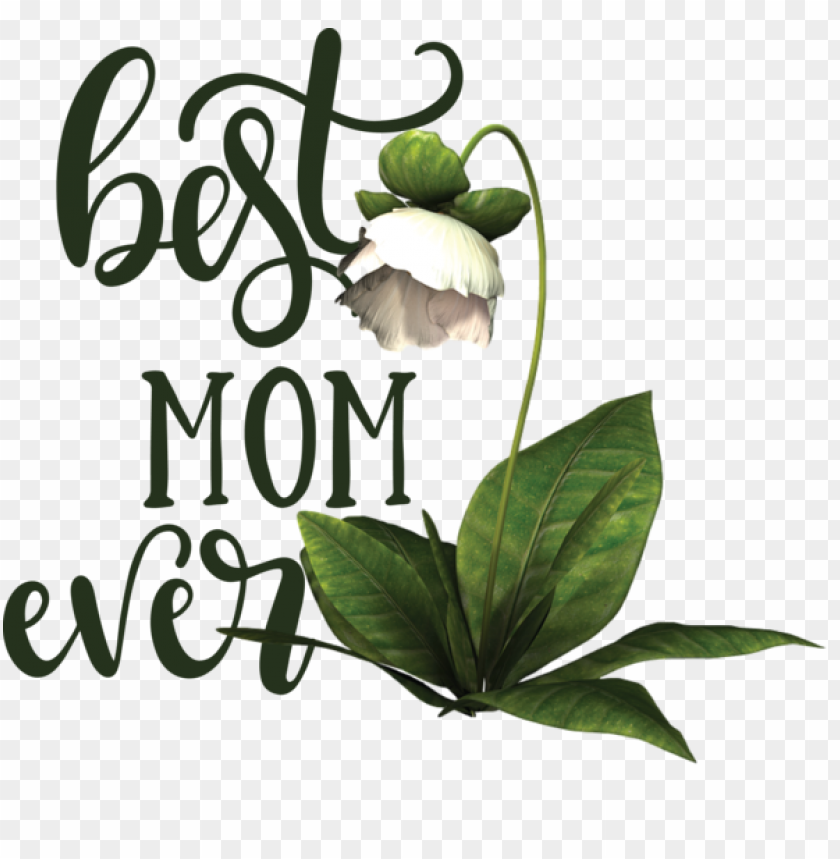 Mothers Day Drawing Flower Design For Happy Mothers Day For Mothers Day PNG Transparent Background