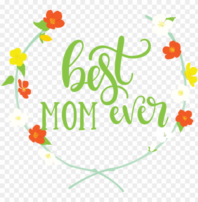 floral design leaf plant stem,mothers day,happy mothers day,transparent png