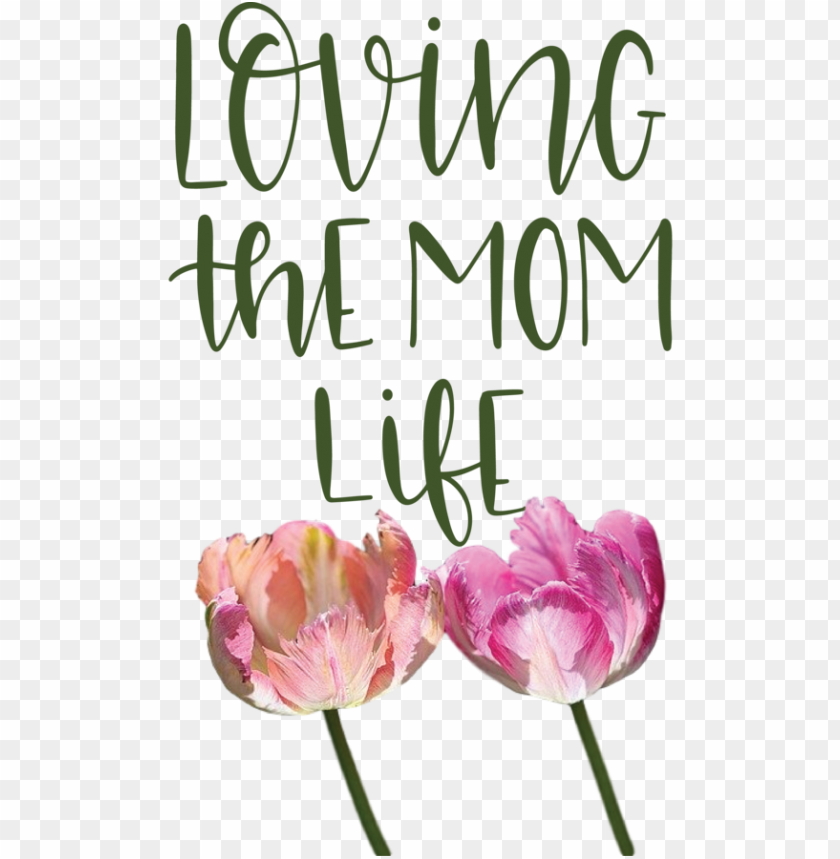 floral design plant stem cut flowers,mothers day,love you mom,transparent png