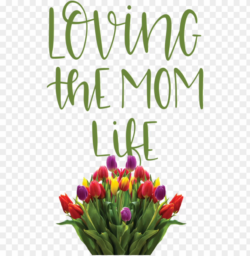 Mothers Day Floral Design Tulip Cut Flowers For Love You Mom For Mothers Day PNG Transparent Background