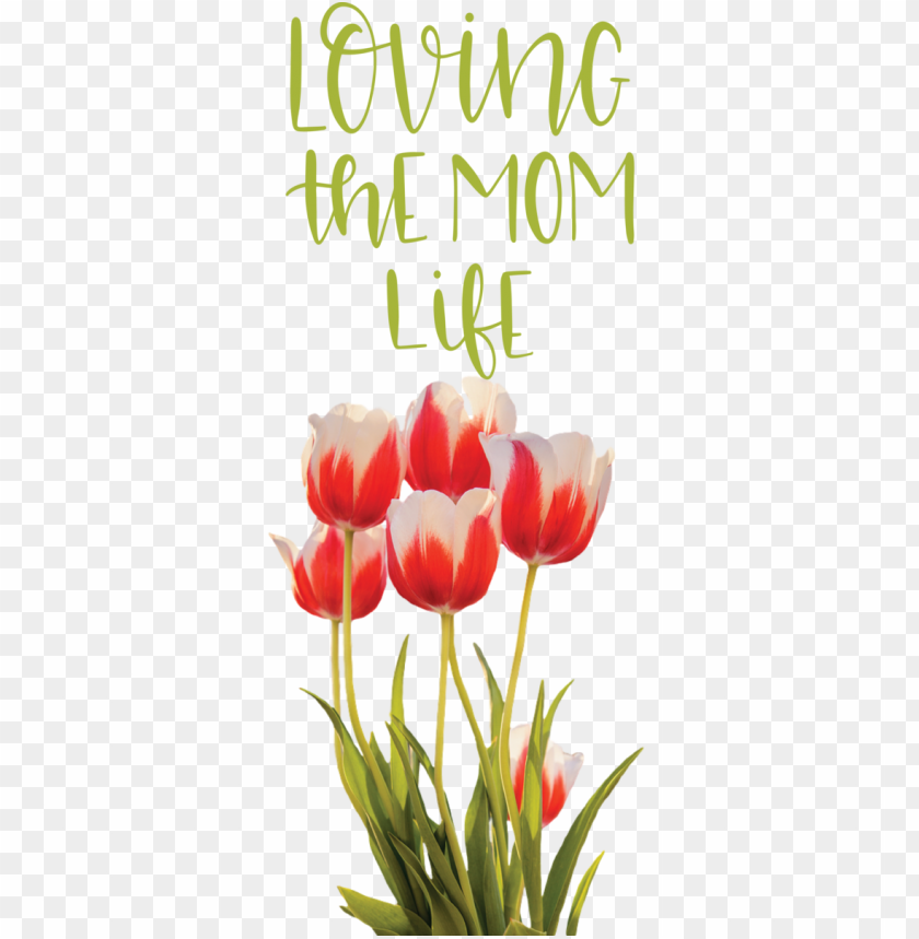 Mothers Day Flower Cut Flowers Floral Design For Love You Mom For Mothers Day PNG Transparent Background