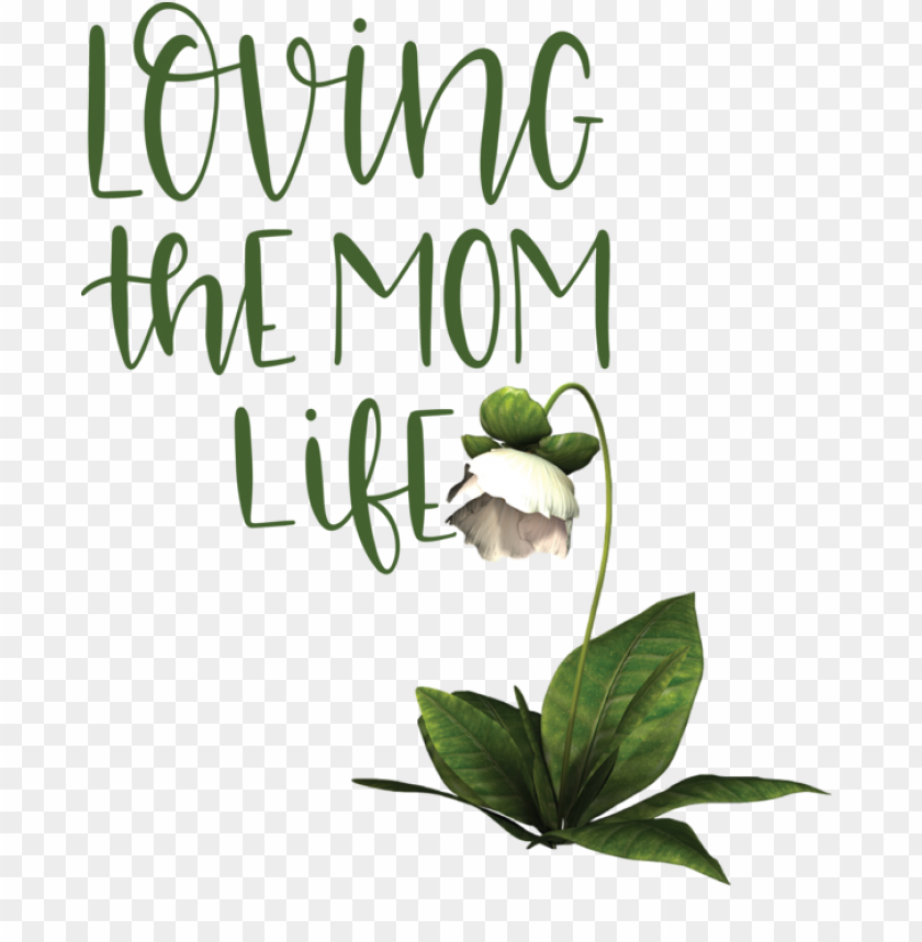 Mothers Day Herbal Medicine Leaf Floral Design For Love You Mom For Mothers Day PNG Transparent Background